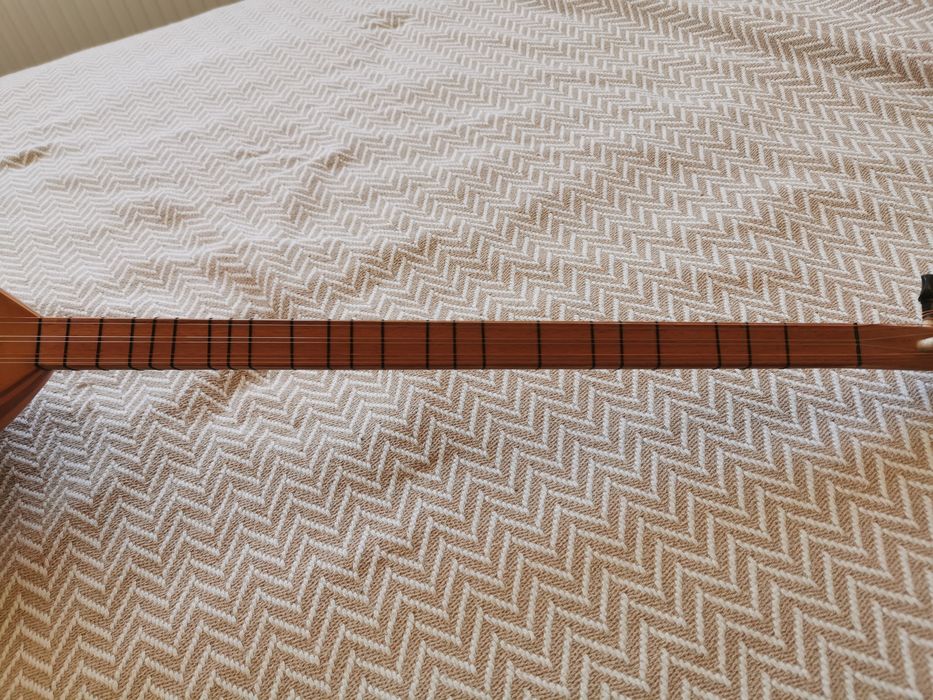 Саз баглама дълъг сап професионален със вграден микрофон