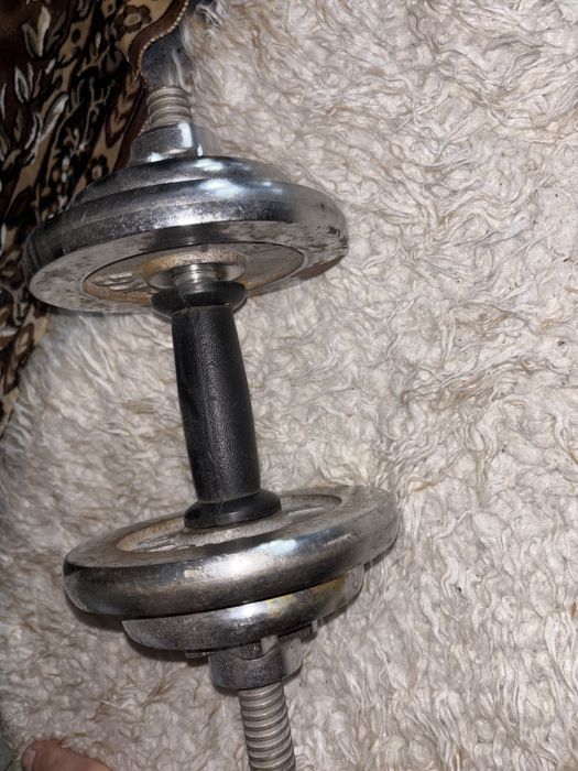 Продам гонтелю не дорого