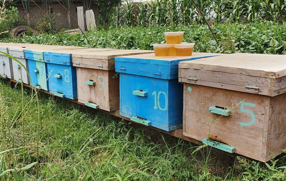 Toza tabiiy asal sifatiga ham garantiya