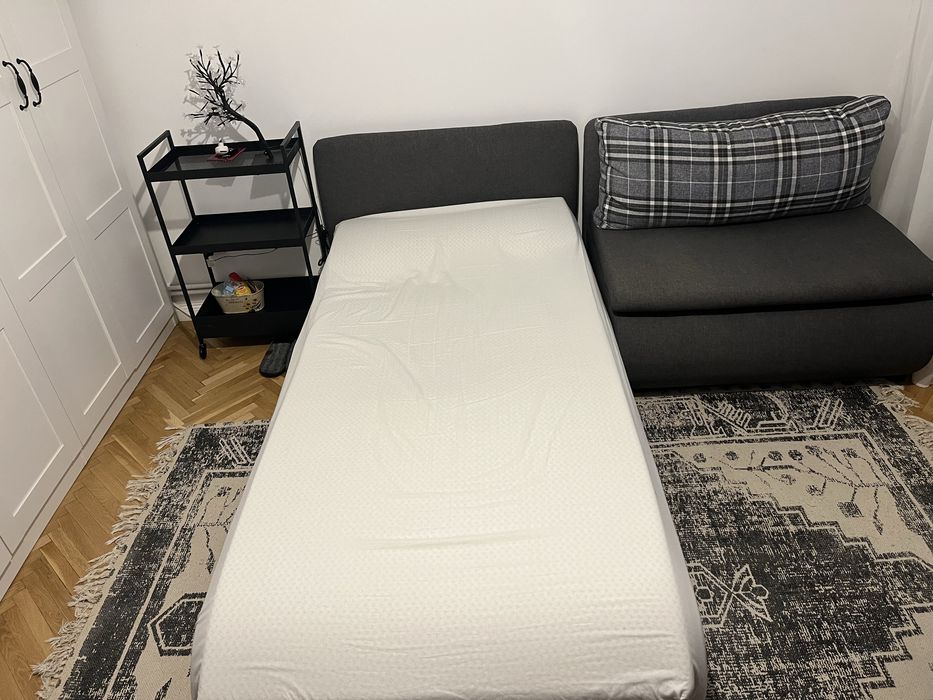 Fotoliu extensibil 1 persoana