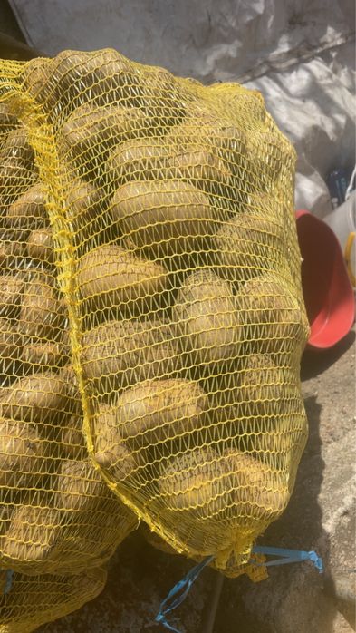 Продавам картофи