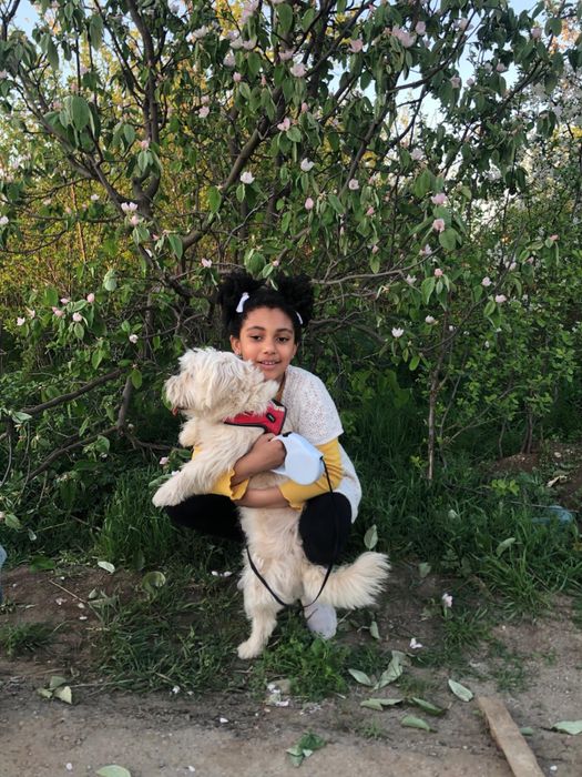 Cazare animalute de companie