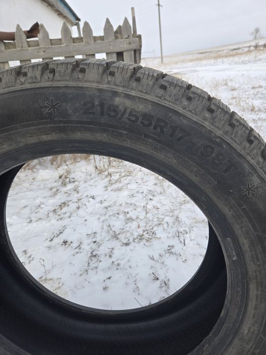 Продам шины зимние шипованные