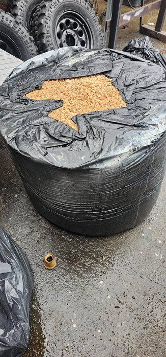 Rumeguș frasin uscat