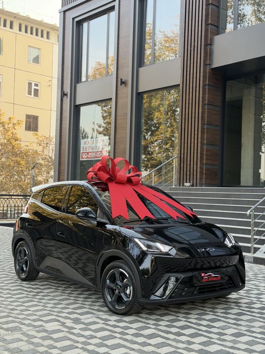 BYD seagull 405km Full