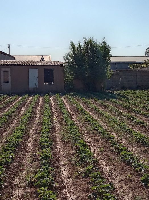 Земельный участок 6 сотик