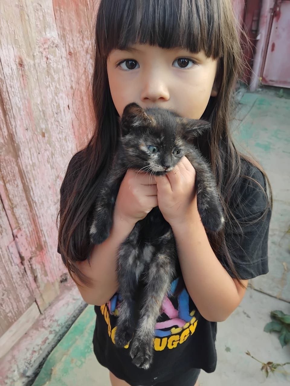 Отдам красивых и умных котят