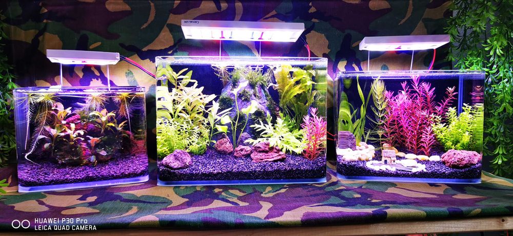 Lampa pentru acvariu plantat speciale pentru cresterea plantelor