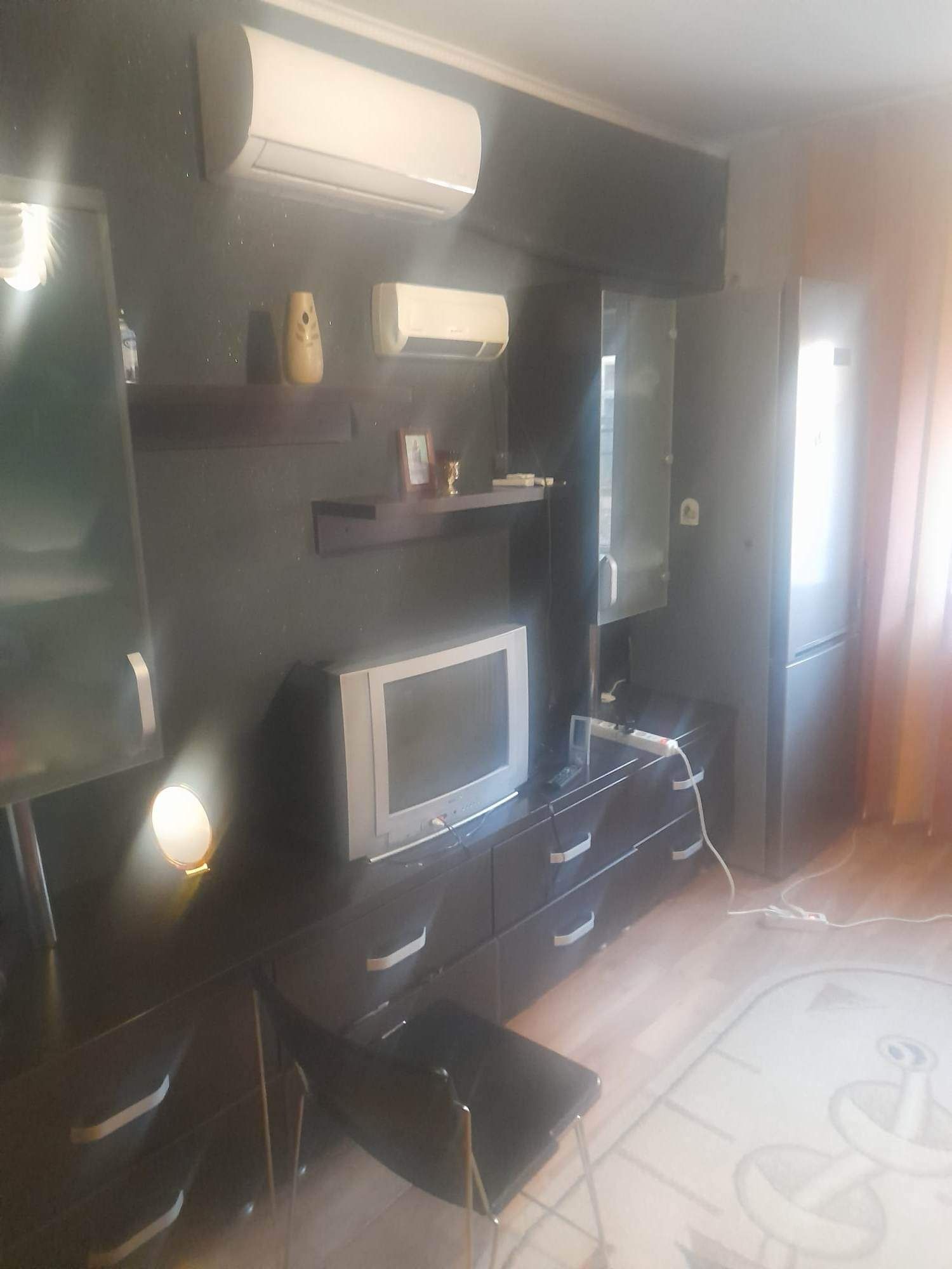 Apartament 1 camera Vișani