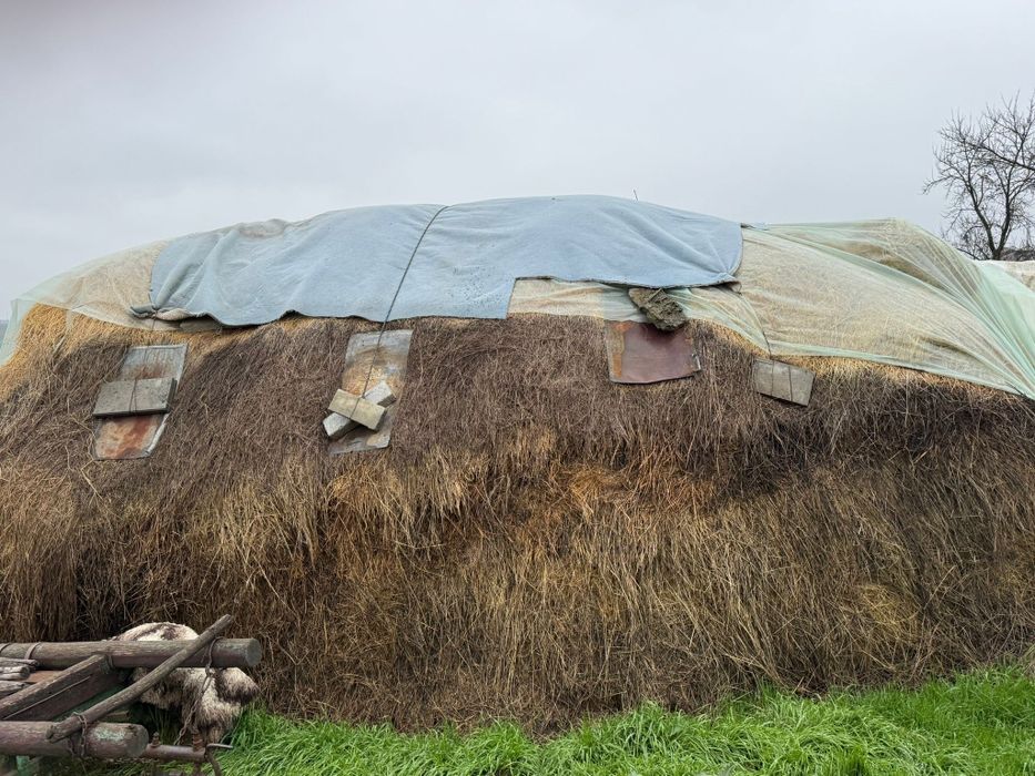 Vând baloți fan și lucerna