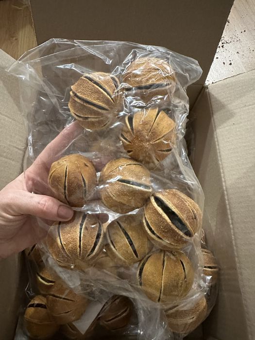 Portocale uscate pt aranjamente Craciun