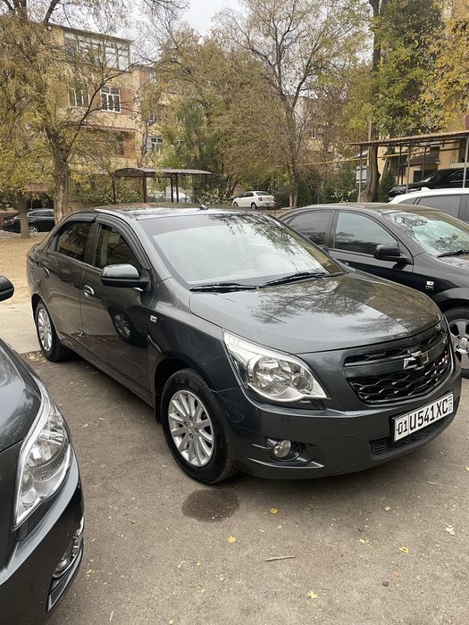 Cobalt 2020 4 pazitsa