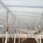 FOLIE INTERIOR/TERMICA; 40micr, 4x200m=1000lei;5x250m;6x200m