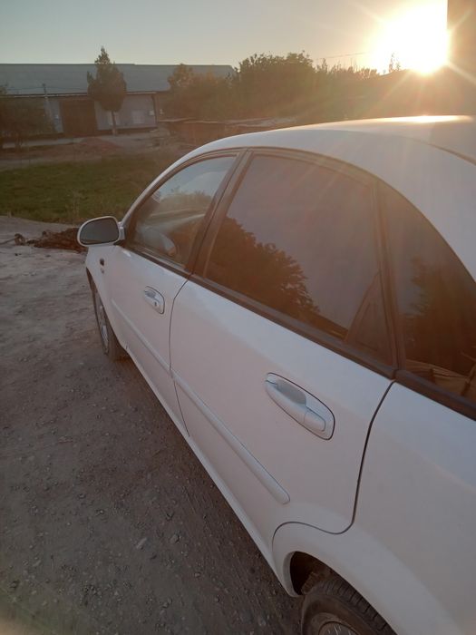 Ласитти карийски