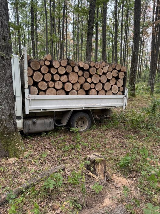 Vând lemne de foc esență tare