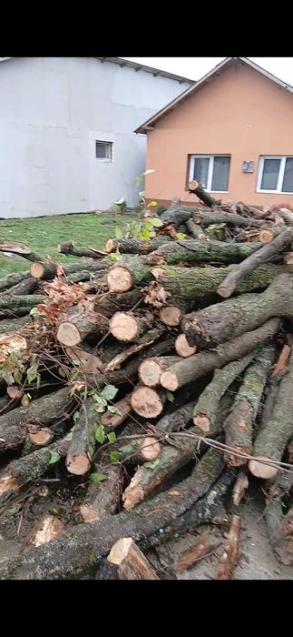 Vand lemne de foc esență tare, 4 m3 Județul Prahova