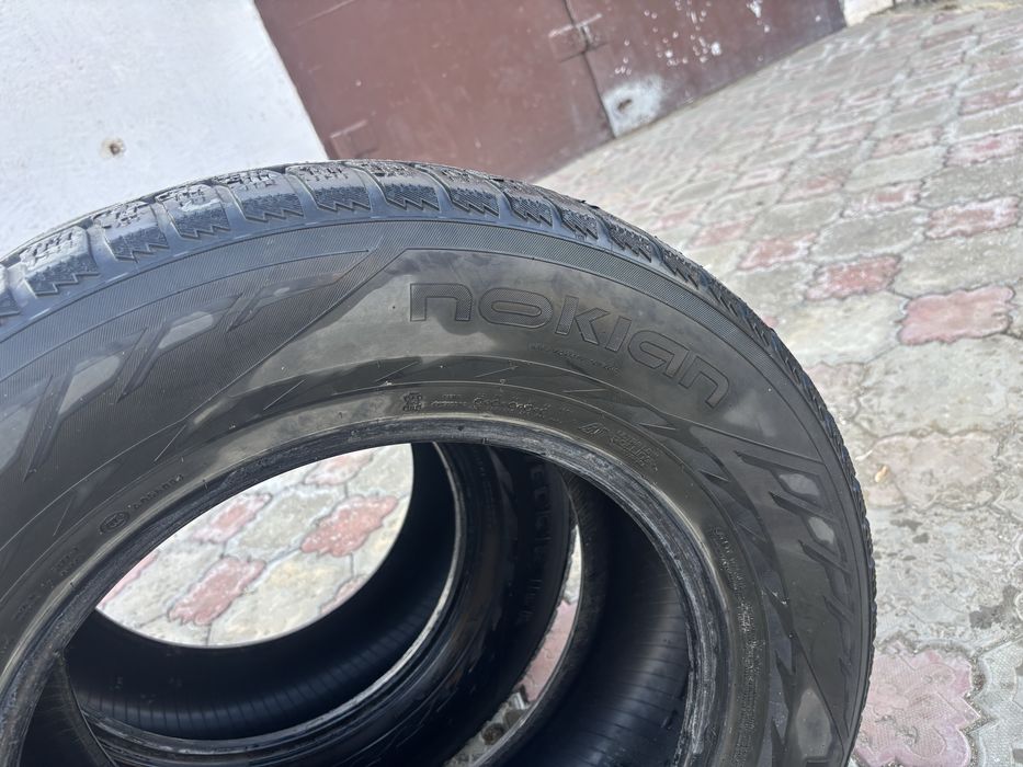 Зимние шины Нокиан