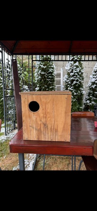 Cuib micul alexandru