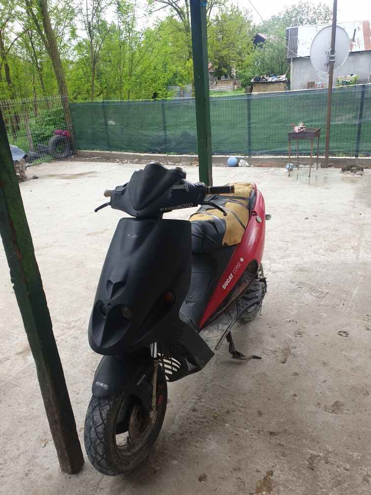 Vând malaguti f12 sau schimb