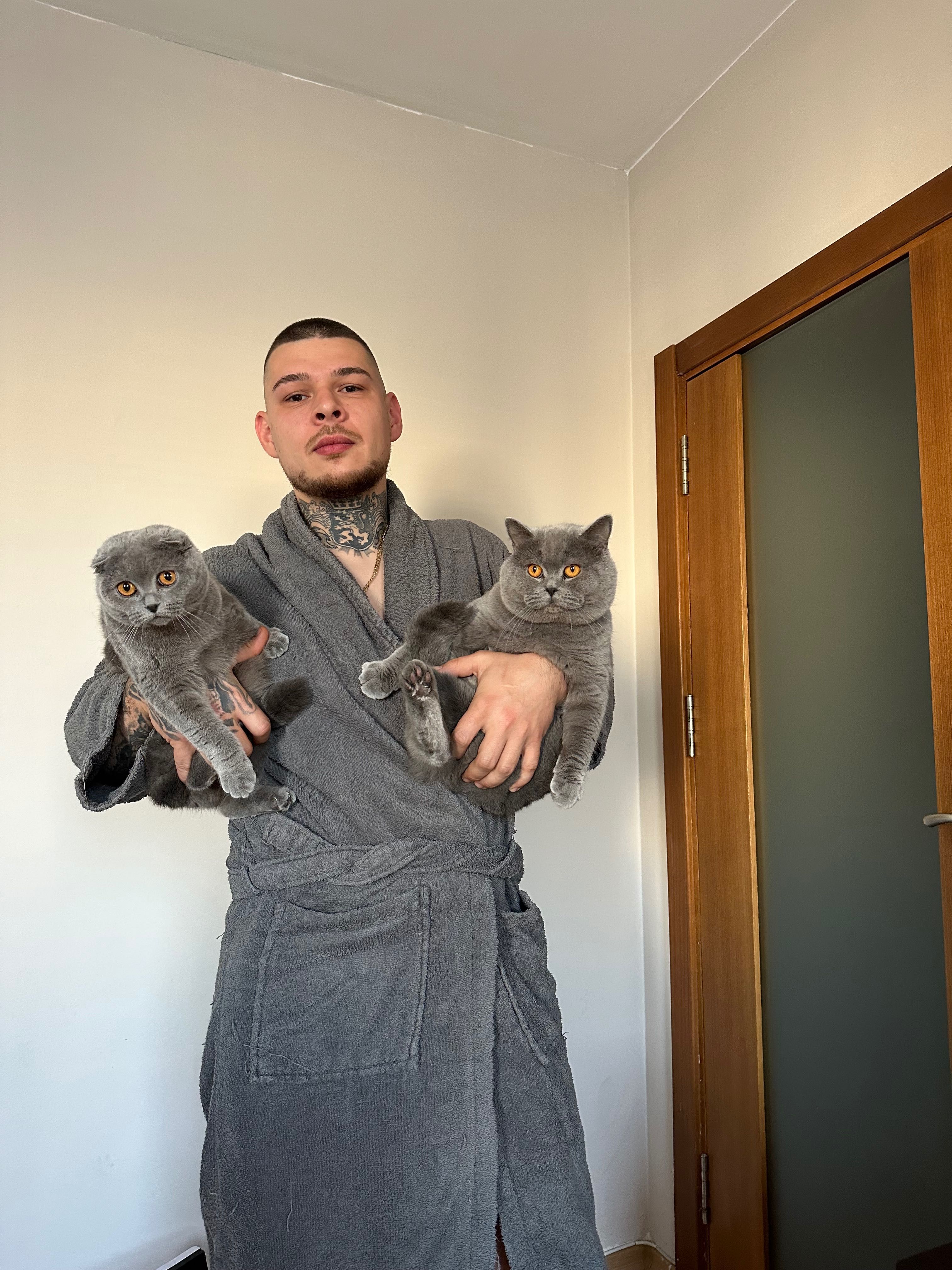 Шотландска клепоуха