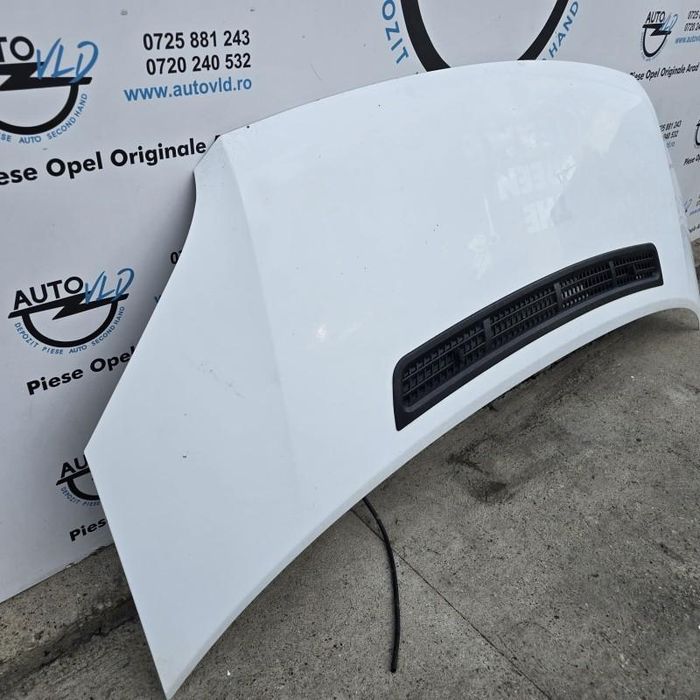 Capota motor Ford Transit 5