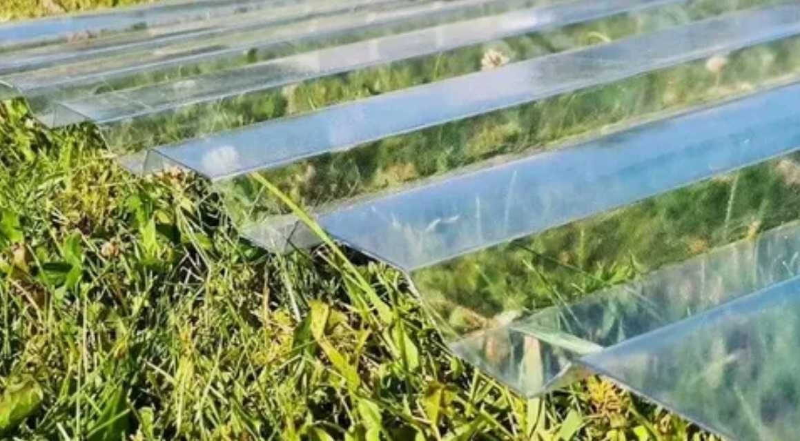 Lexan (uyali va monolit)/Лексан (сотовый и монолитный)