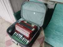 Acordeon Walter Teeny 48