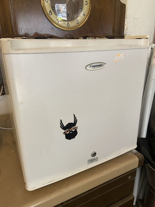 Хладилници на газ  и ток и фризери на 220 волта