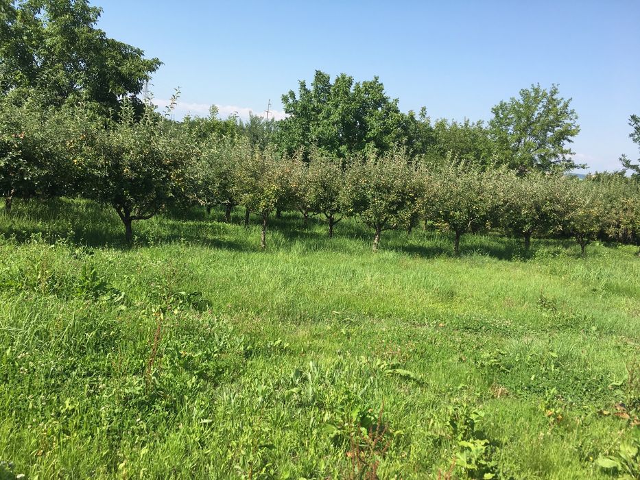 Vind teren in Turcești ,Pitesti