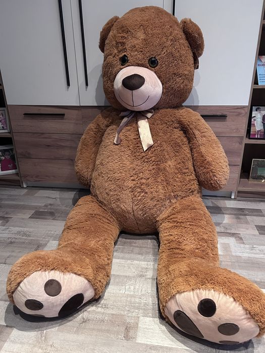 Urs gigant in stare perfecta.