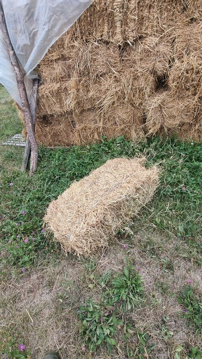 Vând baloți fân .