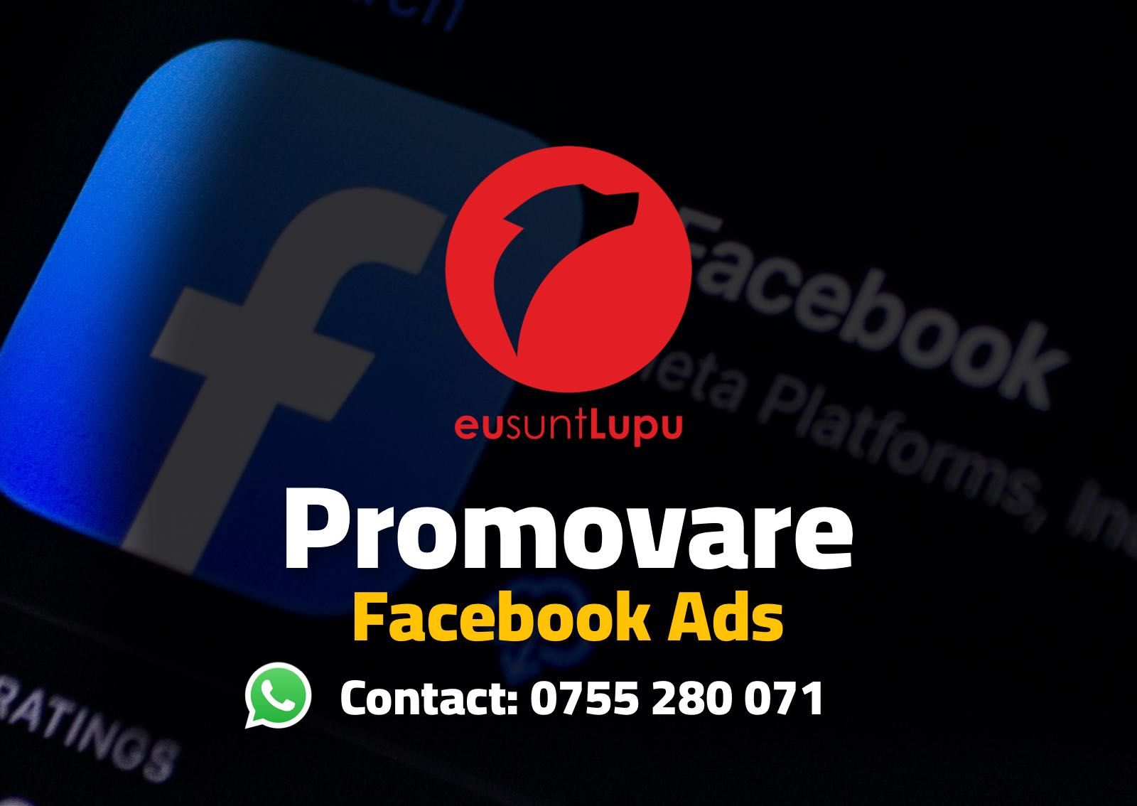 +Promovare online reclame & publicitate Google Facebook TikTok Youtube