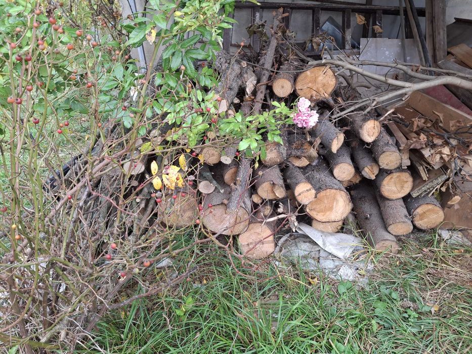 Vand lemne foc Sibiu