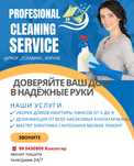 Cleaning servis уборка квартиры домов офисов и Дезинфекция квартиры