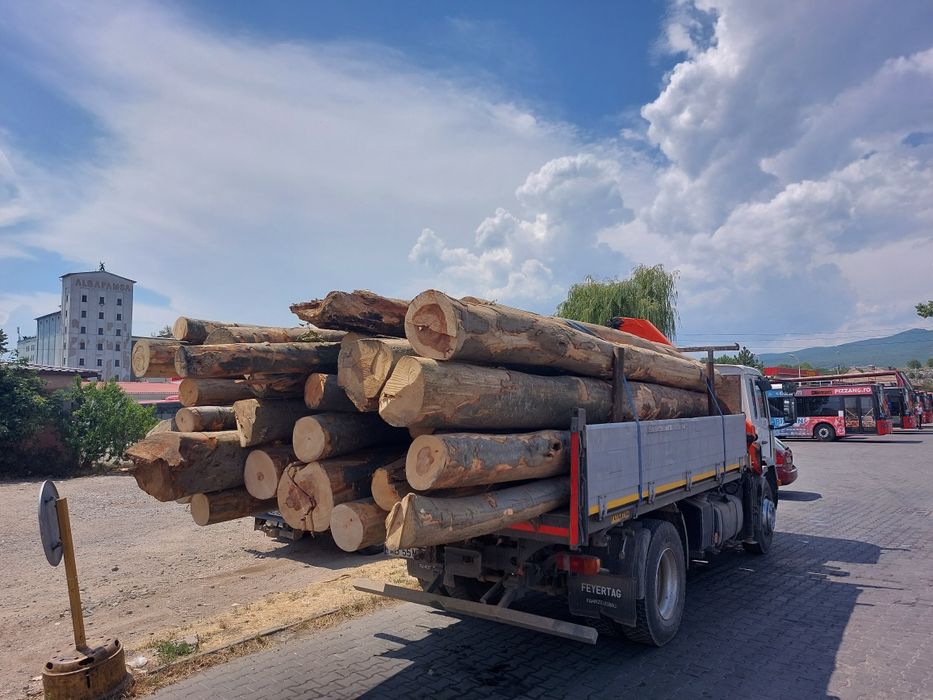 Lemn foc fag buștean  320 lei sterul