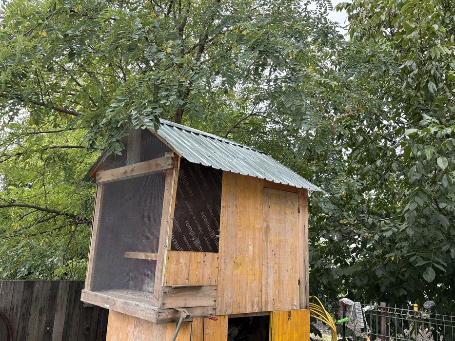 Voliera din lemn, acoperis tabla-ideala pentru porumbei