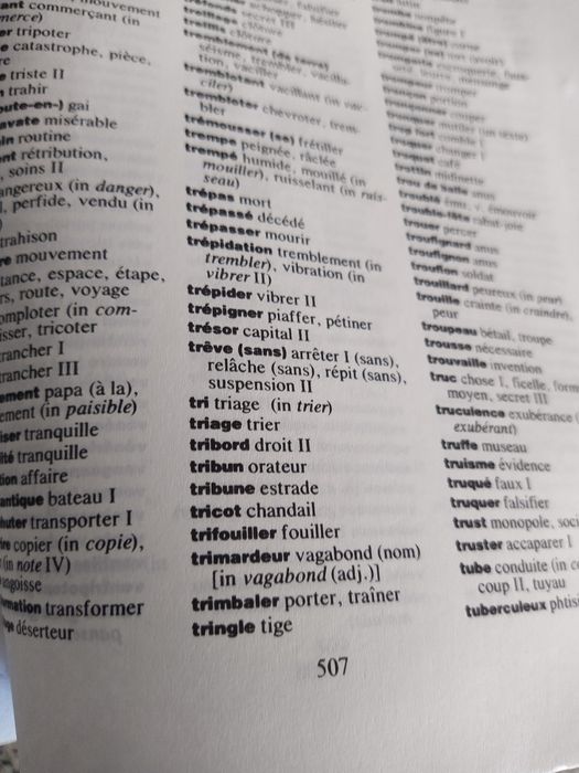 Френски синонимен речник