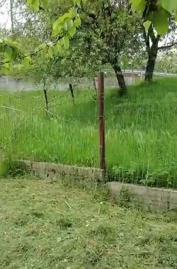Ofer servicii de curatenie/intretinere-curte/gradina-Bucuresti/Ilfov