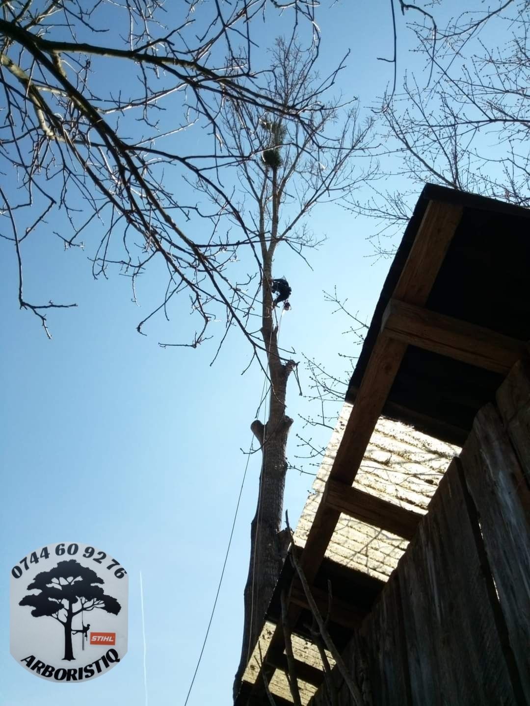 Toaletat doborât arbori/copaci alpiniști /alpinism utilitari