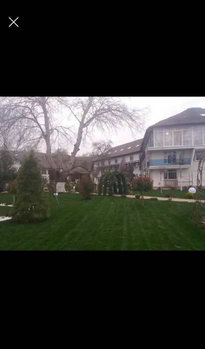 Gazon sau insamantare