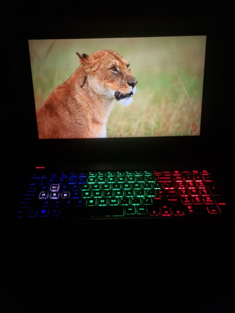Hp omen i7 10750H