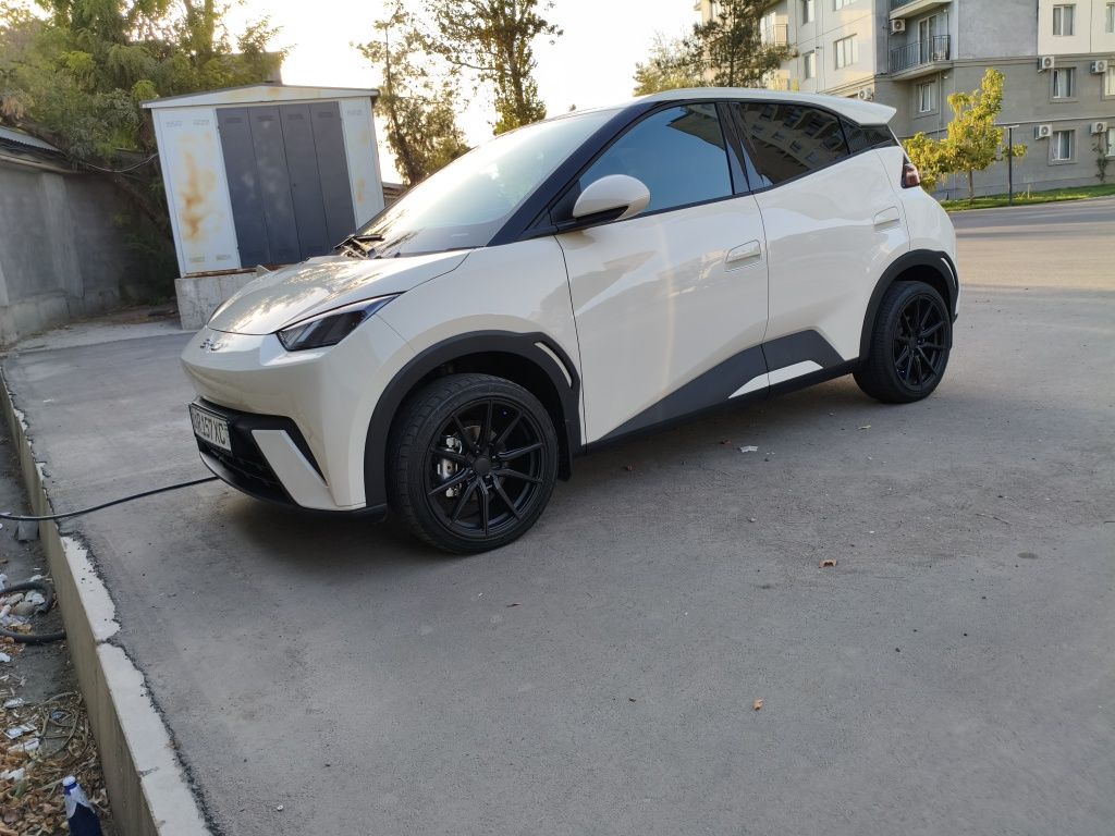 Byd seagull 2024 (официальный)
