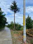 Teren de vânzare în zona de pădure  _ 7000 mp.