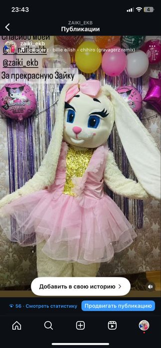 Поздравление и прокат зайки, мишки и пупсы