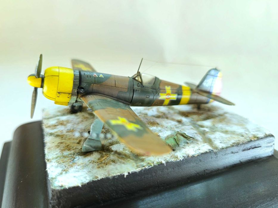 Modelism Diorama IAR 80 scara 1:100 rasina