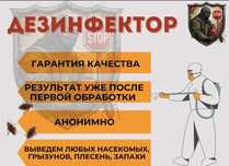 30% Служба дезинфекции клопов Dezinfeksiya klopov klapa klop burga