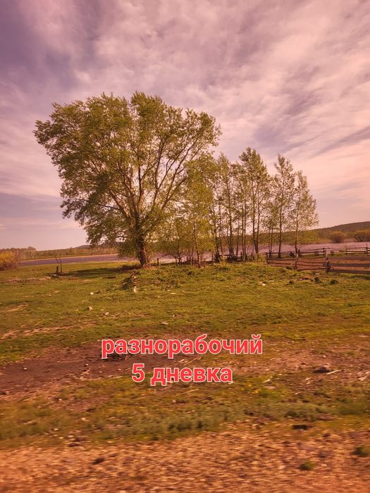 На постоянную основу 150000