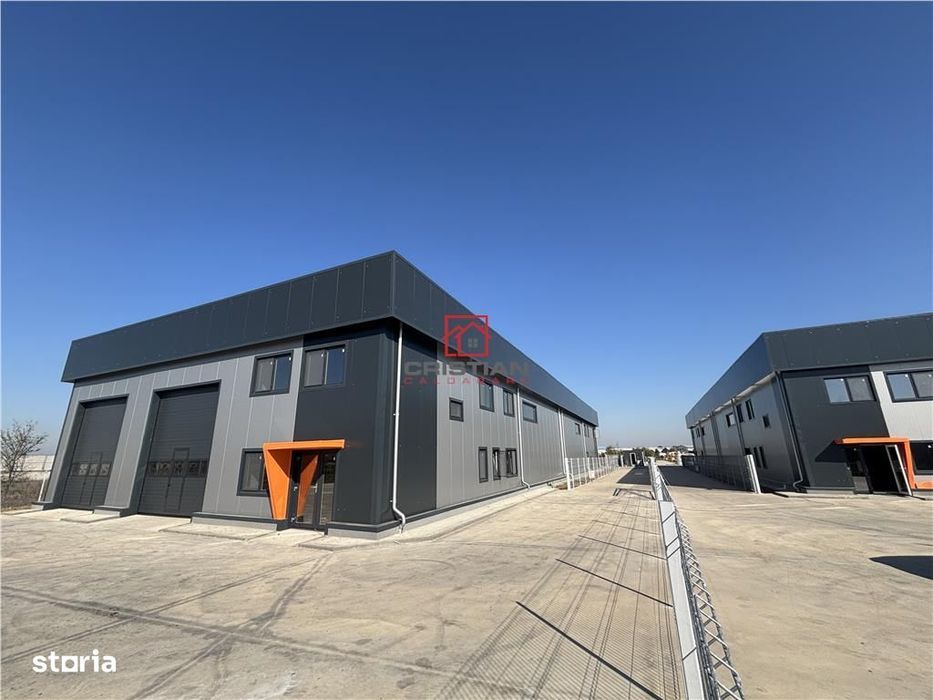 Vanzare depozithalaspatiu industrial Chitila - Centura - Rudeni