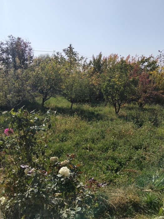 Ер сотилади 4 сотих