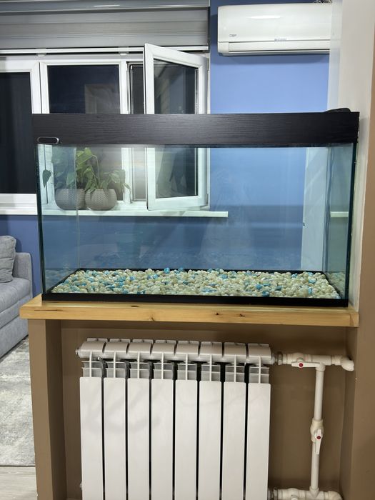 Продам аквариум со всеми вещами